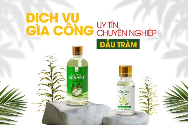 Dịch vụ gia công dầu tràm theo yêu cầu Uy tín