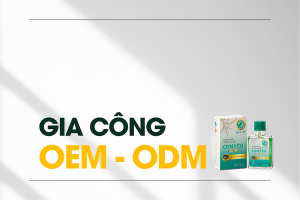 Gia công dầu khuynh diệp OEM - ODM cho thương hiệu riêng