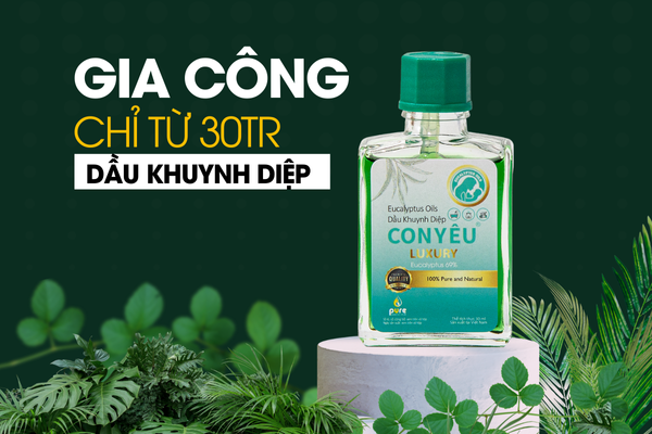 Gia công dầu khuynh diệp theo yêu cầu chỉ 30tr/brand