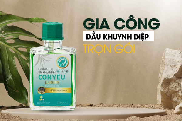 Gia công dầu khuynh diệp trọn gói giá cạnh tranh