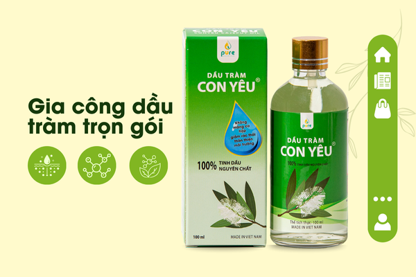 Gia công dầu tràm trọn gói nguyên liệu thiên nhiên