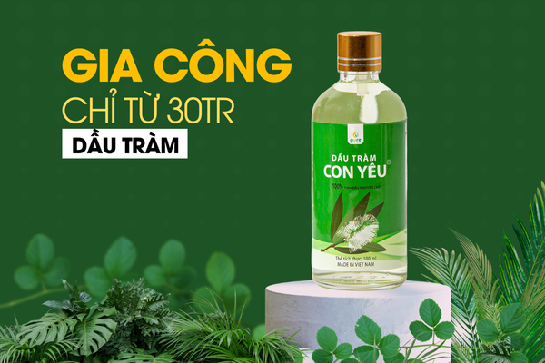 Gia công tinh dầu tràm chuyên nghiệp tại TP. HCM