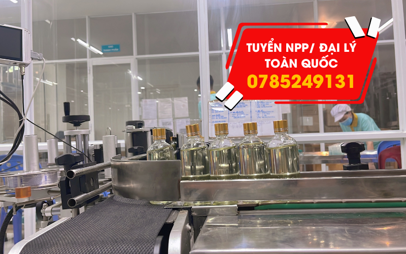 Tuyển nhà phân phối dầu tràm toàn quốc hấp dẫn