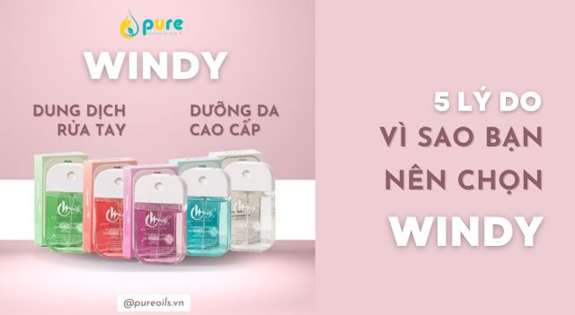 Dung Dịch Rửa Tay WINDY - Lựa Chọn Hoàn Hảo Cho Người Bận Rộn