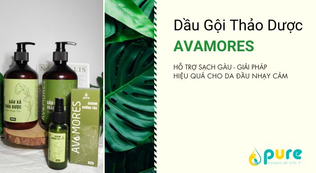 Dầu Gội Thảo Dược AVAMORES Hỗ Trợ Sạch Gàu - Giải Pháp Hiệu Quả Cho Da Đầu Nhạy Cảm