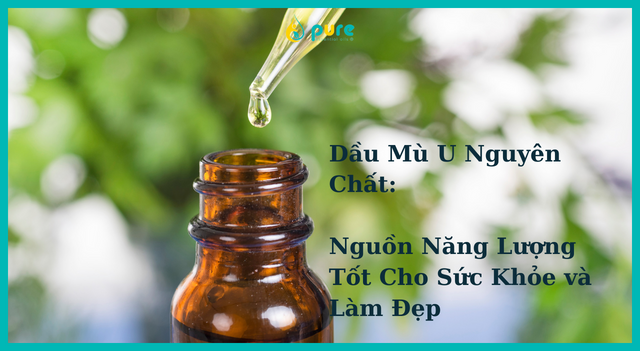 Dầu Mù U Nguyên Chất: Nguồn Năng Lượng Tốt Cho Sức Khỏe và Làm Đẹp