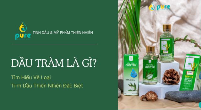 Dầu Tràm Là Gì? Tìm Hiểu Về Loại Tinh Dầu Thiên Nhiên Đặc Biệt Này