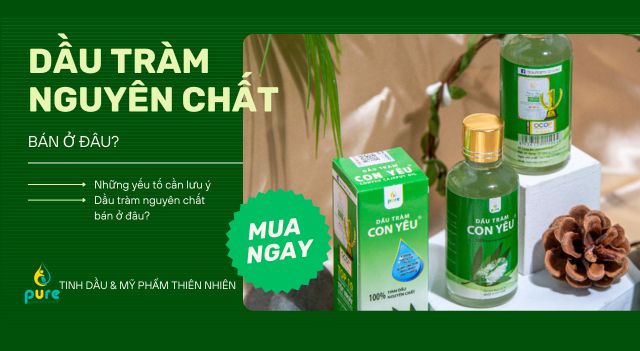 Dầu Tràm Nguyên Chất Bán Ở Đâu? Địa Chỉ Mua Dầu Tràm Uy Tín