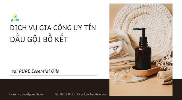 Dịch Vụ Gia Công Dầu Gội Bồ Kết Uy Tín Tại PURE Essential Oils