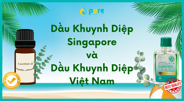 So sánh Dầu Khuynh Diệp Singapore và Dầu Khuynh Diệp Việt Nam: Lựa chọn tốt nhất cho sức khỏe và sự thư giãn