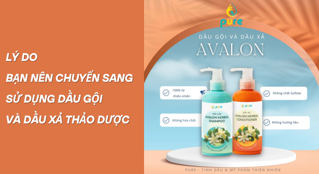 Lý Do Bạn Nên Chuyển Sang Sử Dụng Dầu Gội Và Dầu Xả Thảo Dược