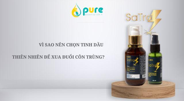 Vì Sao Nên Chọn Tinh Dầu Thiên Nhiên Để Xua Đuổi Côn Trùng?