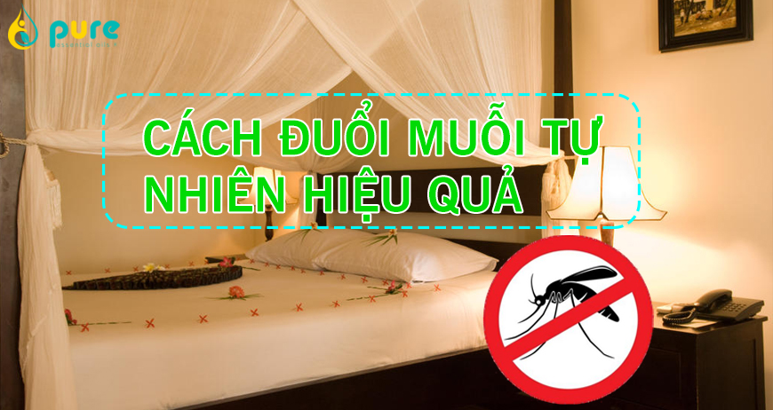 Cách đuổi muỗi trong phòng ngủ an toàn và hiệu quả