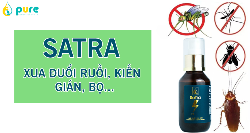 Hợp chất tinh dầu chống côn trùng SaTra xua đuổi muỗi, kiến, gián, bọ, ruồi