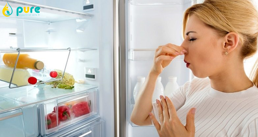 ​Khử mùi hôi trong tủ lạnh bằng hương thơm tinh dầu