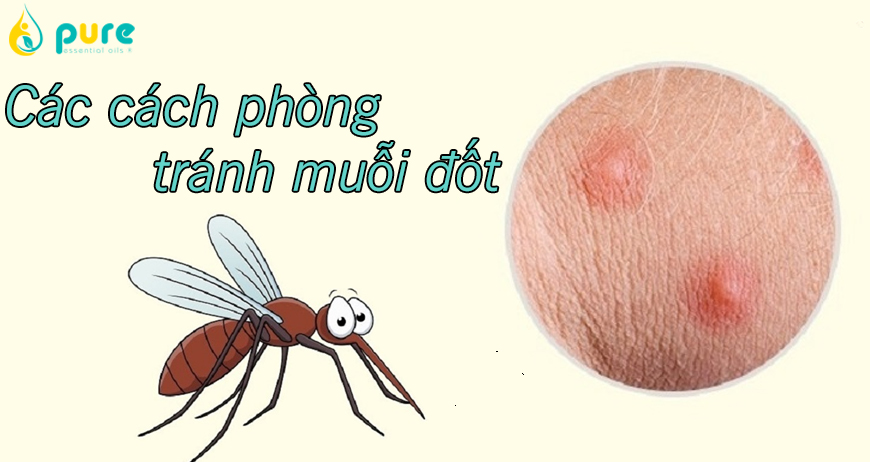 Những cách phòng tránh muỗi đốt hiệu quả