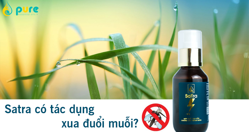 Vì sao hợp chất tinh dầu Satra lại có tác dụng xua đuổi muỗi?