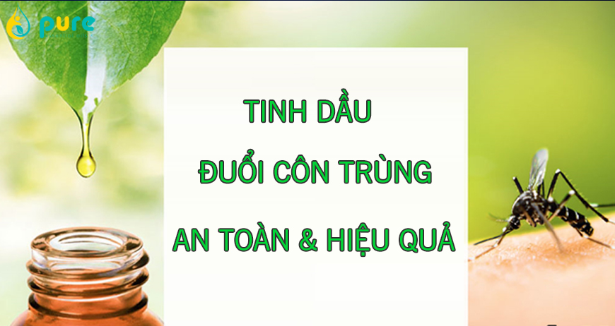 5 loại tinh dầu đuổi côn trùng an toàn hiệu quả nhất hiện nay