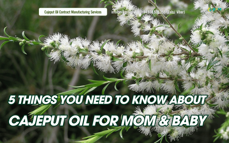 5 Things You Should Know About Cajeput Oil for Mom and Baby