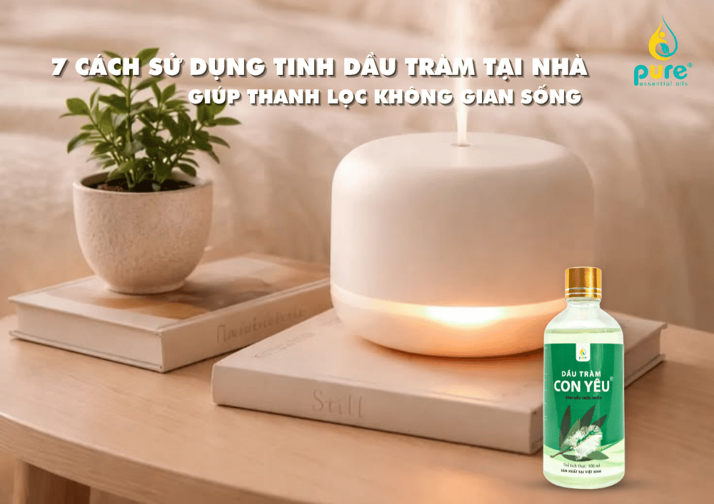 7 cách sử dụng tinh dầu tràm tại nhà giúp thanh lọc không gian sống