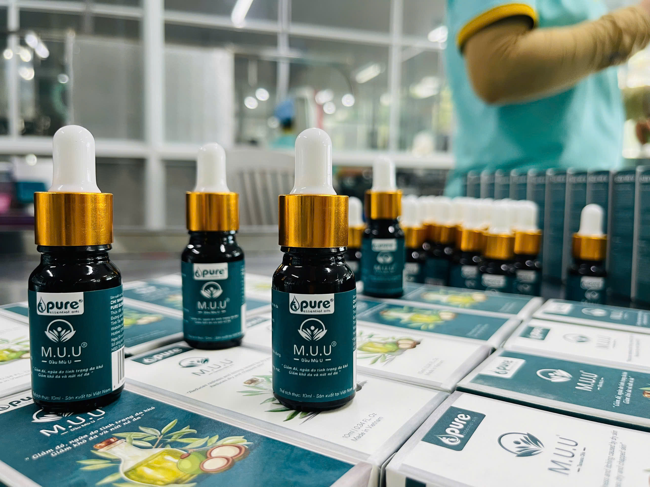 7 công dụng tuyệt vời của dầu mù u giúp tái tạo và phục hồi làn da tự nhiên