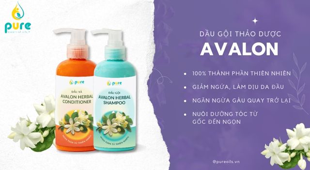 AVALON – Dầu Gội Thảo Dược Trị Gàu
