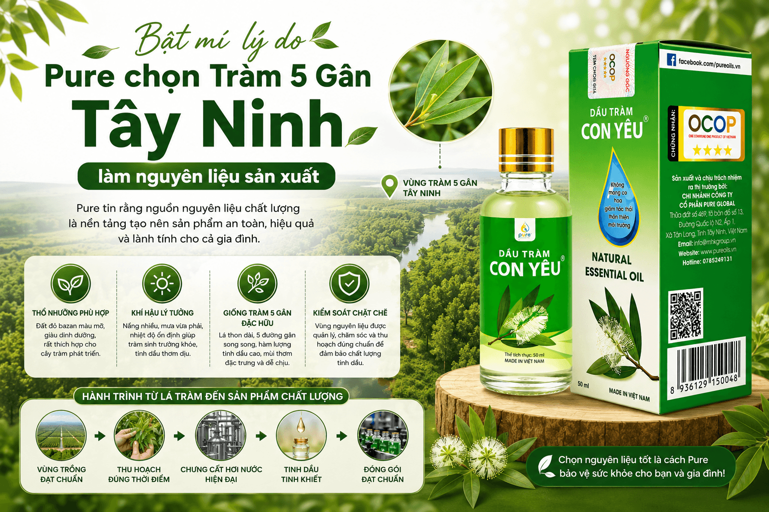 Bật mí lý do Pure chọn Tràm 5 Gân Tây Ninh làm nguyên liệu sản xuất