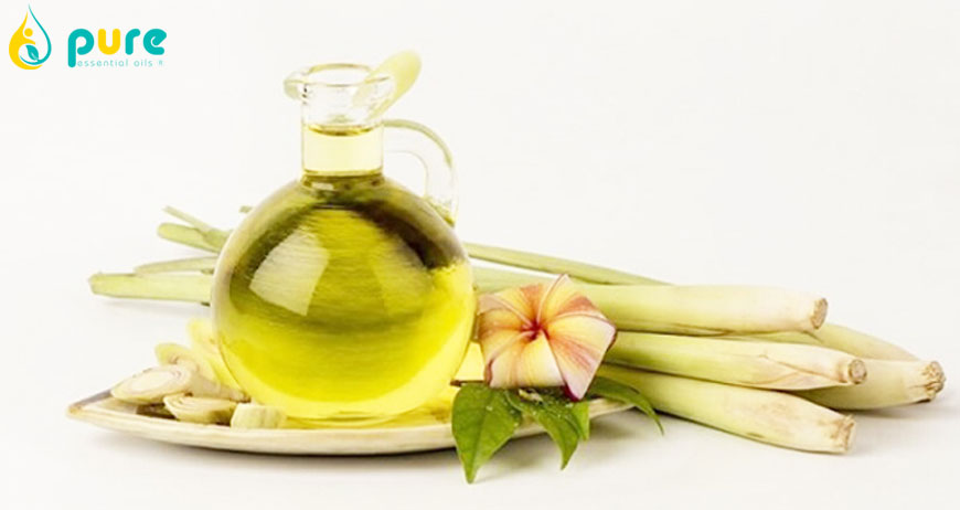 Các công dụng của tinh dầu sả chanh mà ít người biết