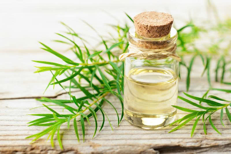 Cách bảo quản tinh dầu tràm