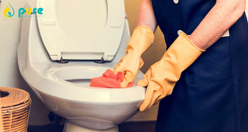 Cách diệt côn trùng trong nhà vệ sinh
