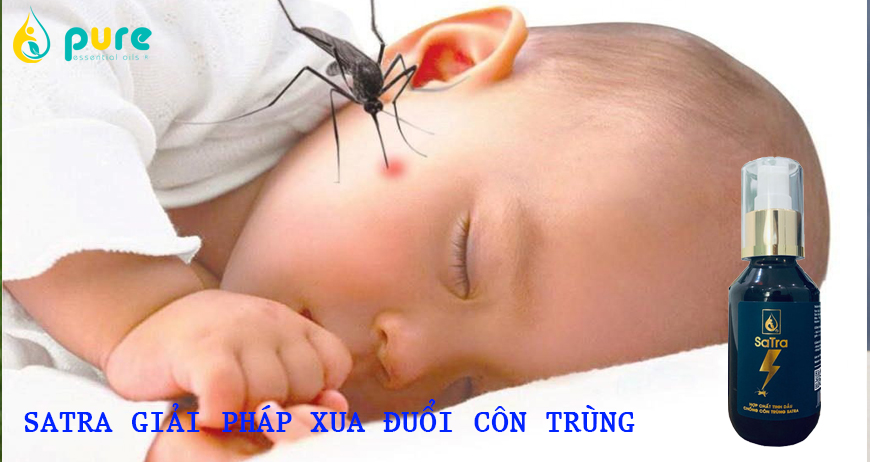 Cách diệt muỗi tận gốc