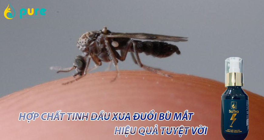 Cách đuổi con bù mắt