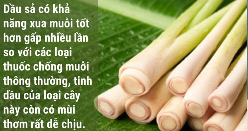 Cách đuổi muỗi trong phòng ngủ