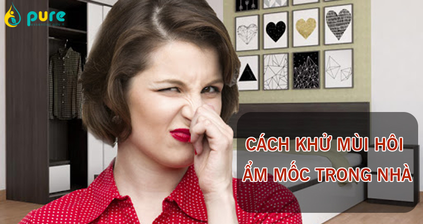 Cách khử mùi hôi ẩm mốc trong nhà nhanh chóng