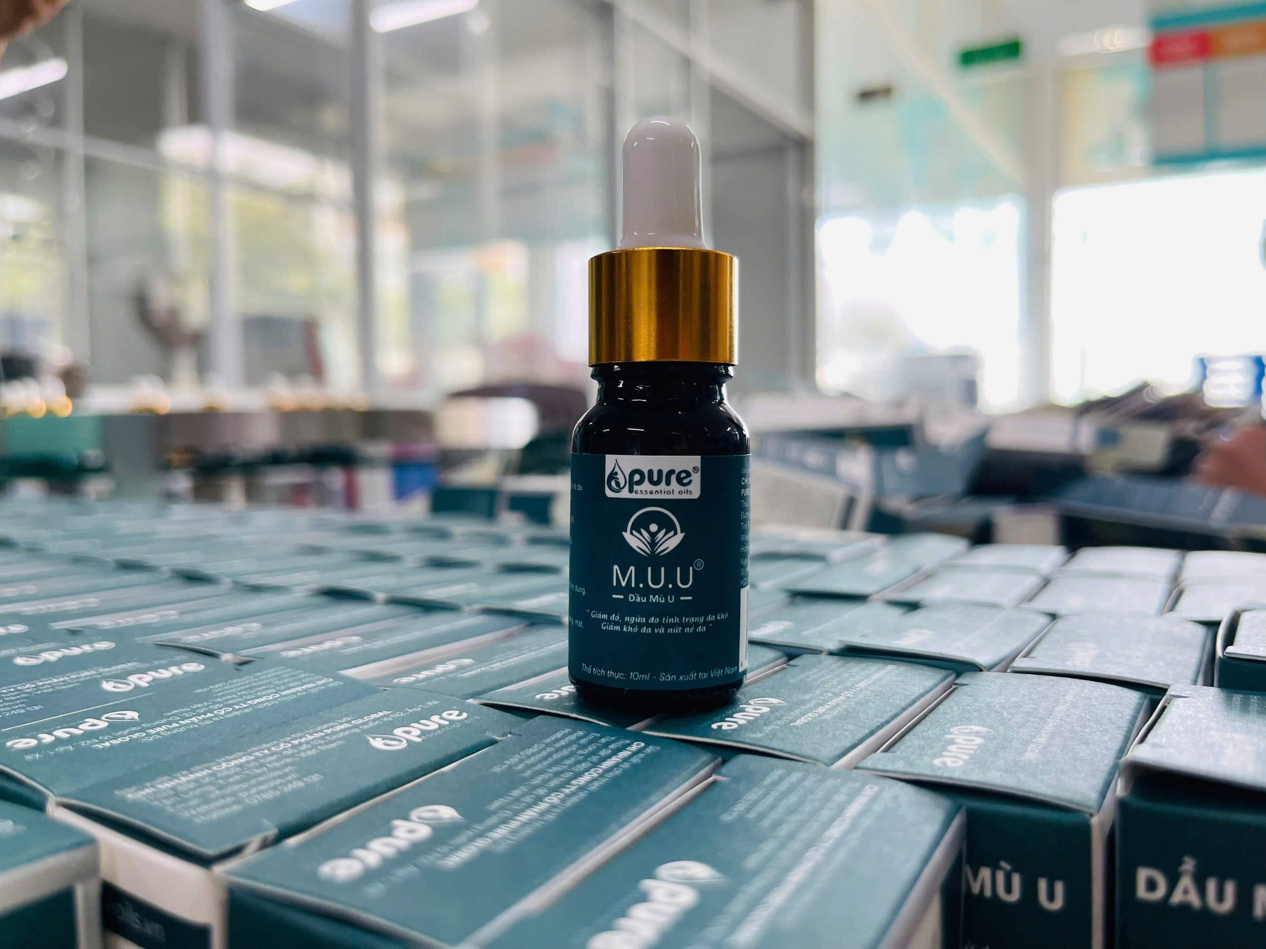 Cách sử dụng dầu mù u cho vết thương hở an toàn