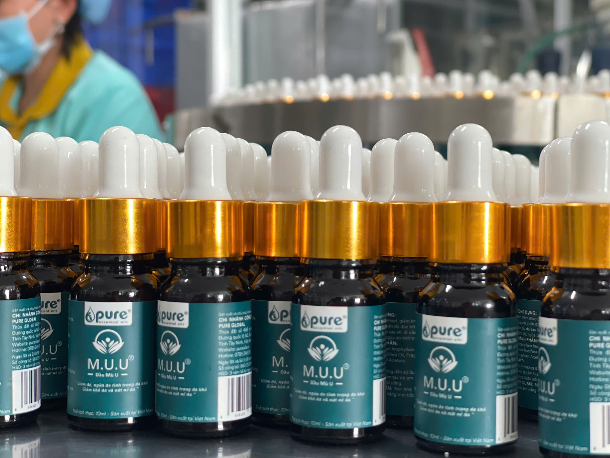 Cách sử dụng dầu mù u để dưỡng da và trị sẹo hiệu quả