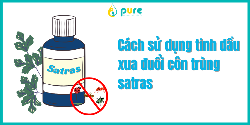 Cách sử dụng tinh dầu xua đuổi côn trùng satras