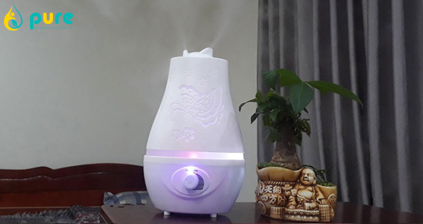 Có Nên Sử Dụng Máy Xông Tinh Dầu Để Đuổi Muỗi
