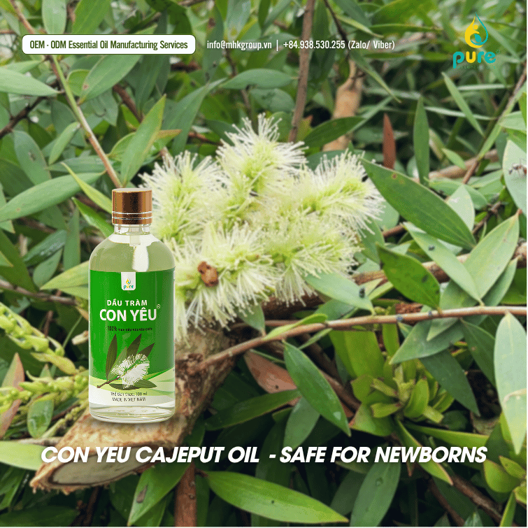 IS CON YEU CAJEPUT OIL SAFE FOR NEWBORNS?