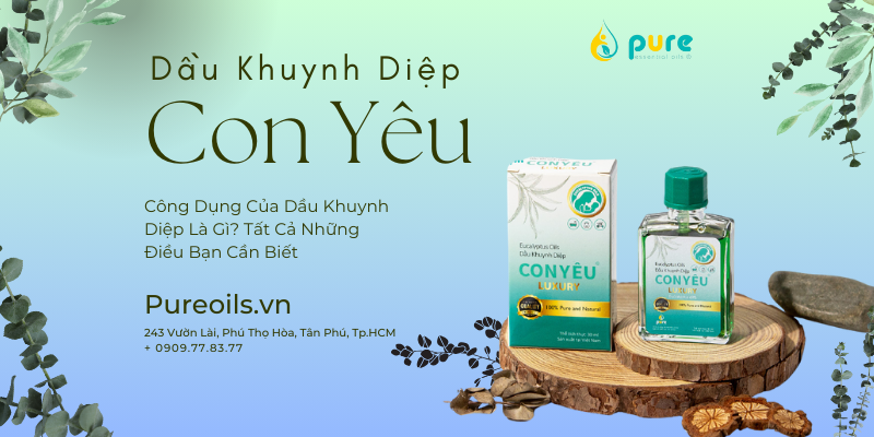 Công Dụng Của Dầu Khuynh Diệp Là Gì? Tất Cả Những Điều Bạn Cần Biết.
