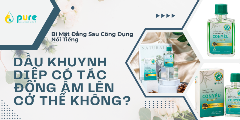 Dầu Khuynh Diệp có Tác Động Ấm Lên Cơ Thể Không? - Bí Mật Đằng Sau Công Dụng Nổi Tiếng
