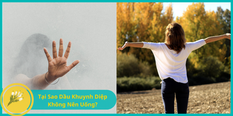 Dầu Khuynh Diệp Có Uống Được Không? Lý Do Tại Sao Bạn Không Nên Uống
