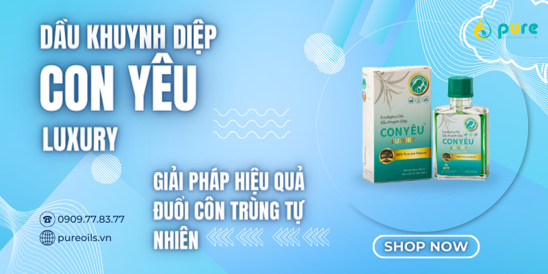 Dầu Khuynh Diệp Con Yêu Luxury Là Giải Pháp Hiệu Quả Đuổi Côn Trùng Tự Nhiên