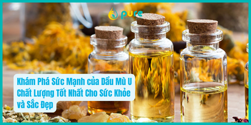 Dầu mù u chất lượng tốt nhất.