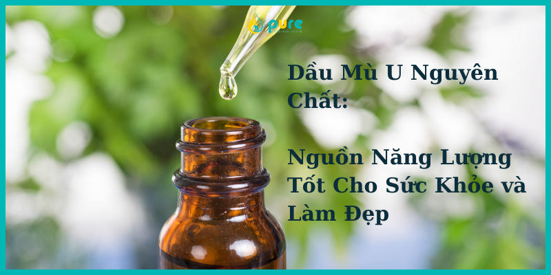 Dầu Mù U Nguyên Chất: Nguồn Năng Lượng Tốt Cho Sức Khỏe và Làm Đẹp