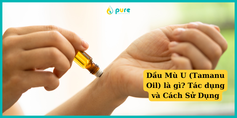 Dầu Mù U (Tamanu Oil) là gì? Tác dụng và Cách Sử Dụng