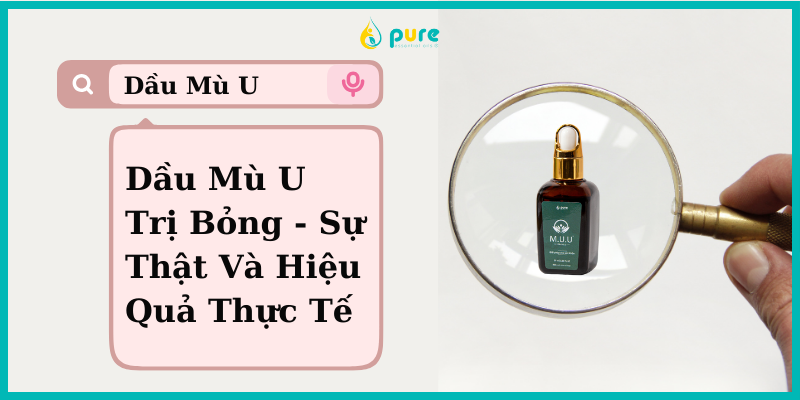 Dầu Mù U Trị Bỏng - Sự Thật Và Hiệu Quả Thực Tế