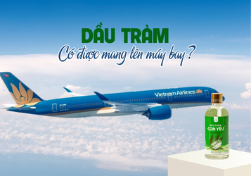 Dầu tràm có được mang lên máy bay