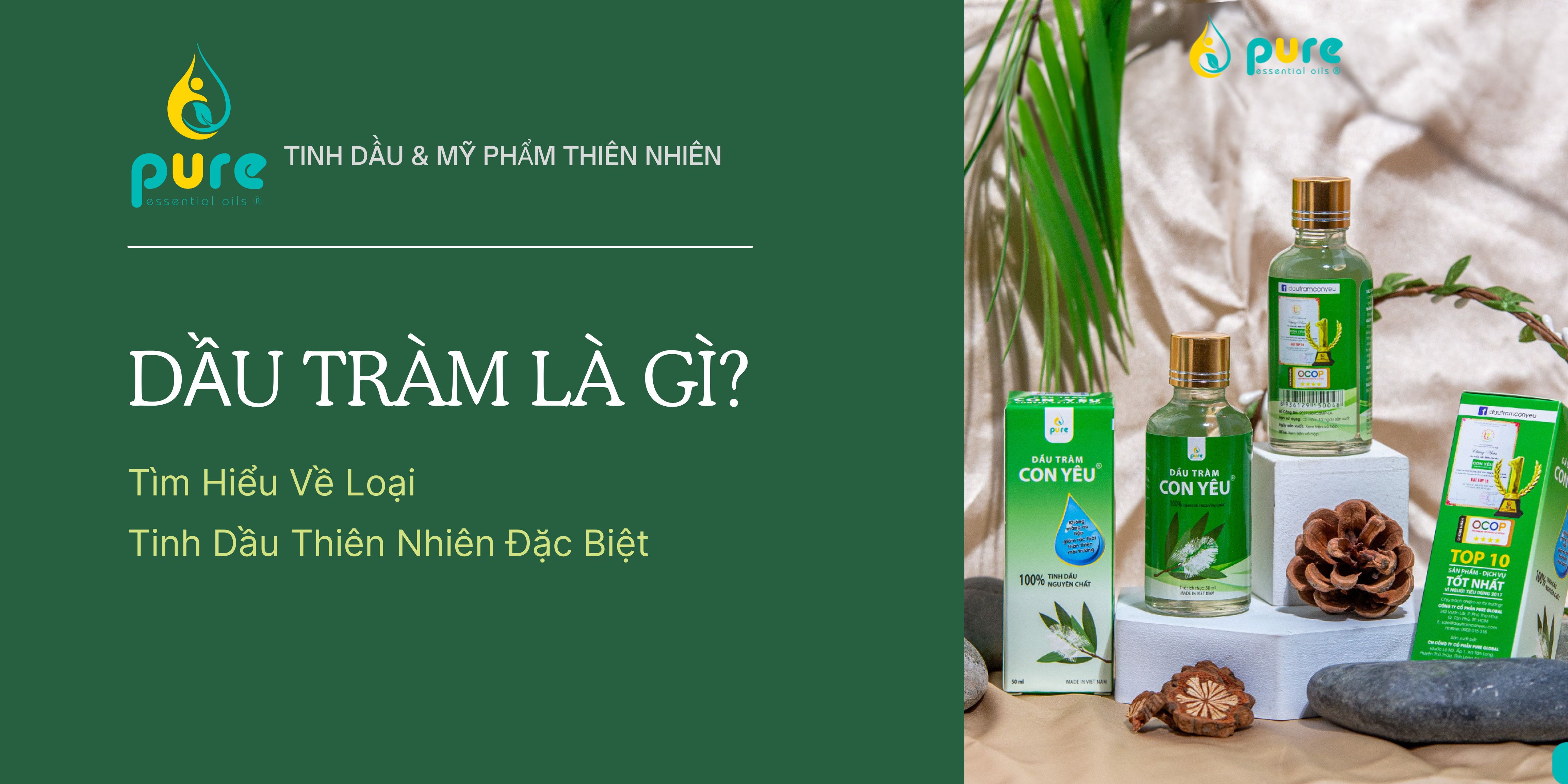 Dầu Tràm Là Gì? Tìm Hiểu Về Loại Tinh Dầu Thiên Nhiên Đặc Biệt Này