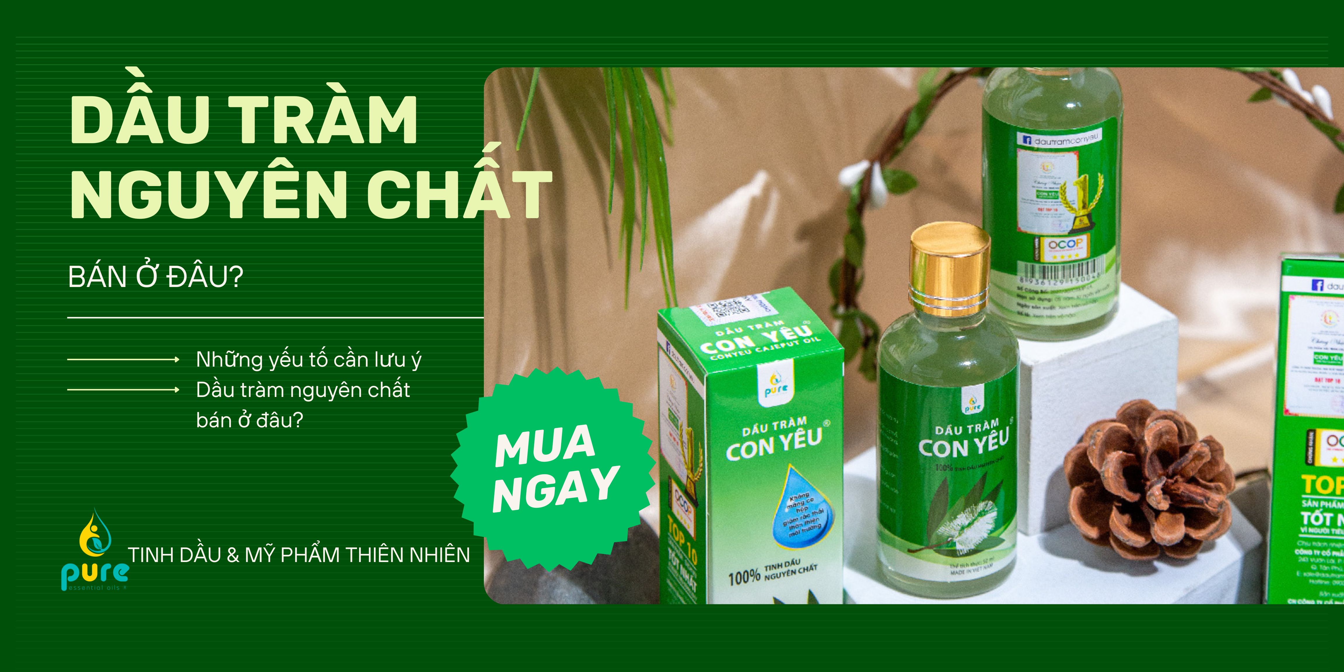 Dầu Tràm Nguyên Chất Bán Ở Đâu? Địa Chỉ Mua Dầu Tràm Uy Tín